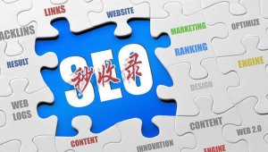 收錄和索引分別指什么呢?