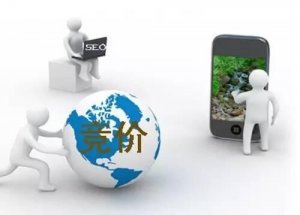 網(wǎng)站做網(wǎng)絡(luò)推廣優(yōu)化排名和競價排名如何選擇？